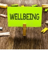 Wellbeing outcomes in Australia as lockdowns ease and cases increase – August 2022